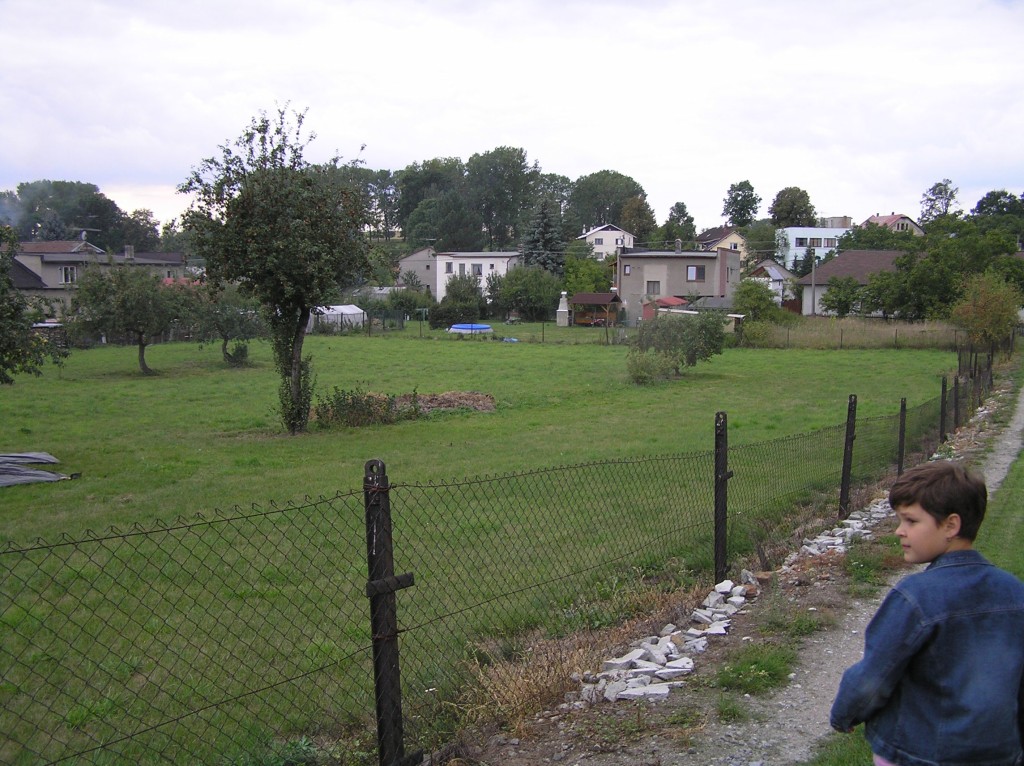 Kopie - 12 001.jpg