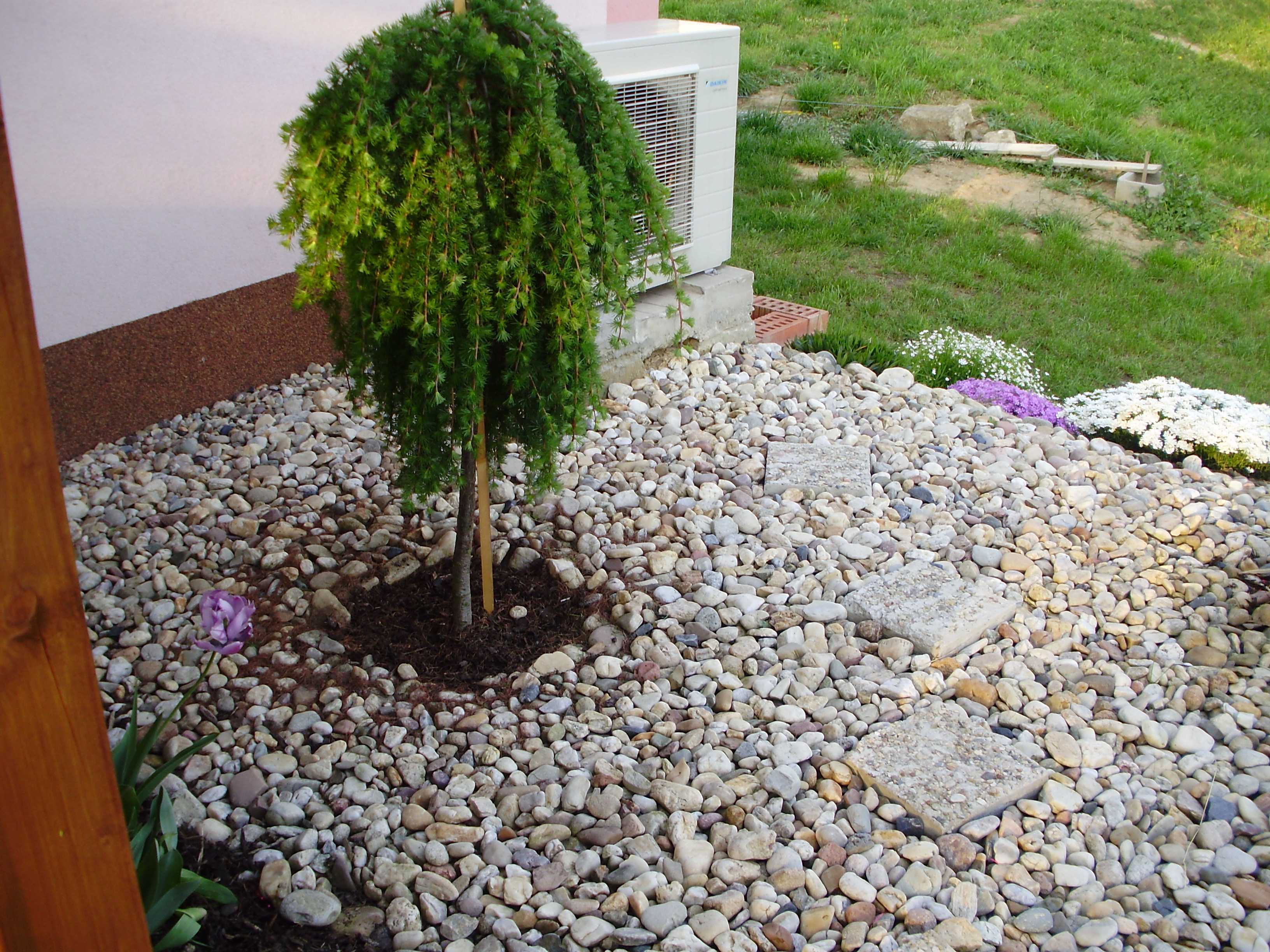 P4090460